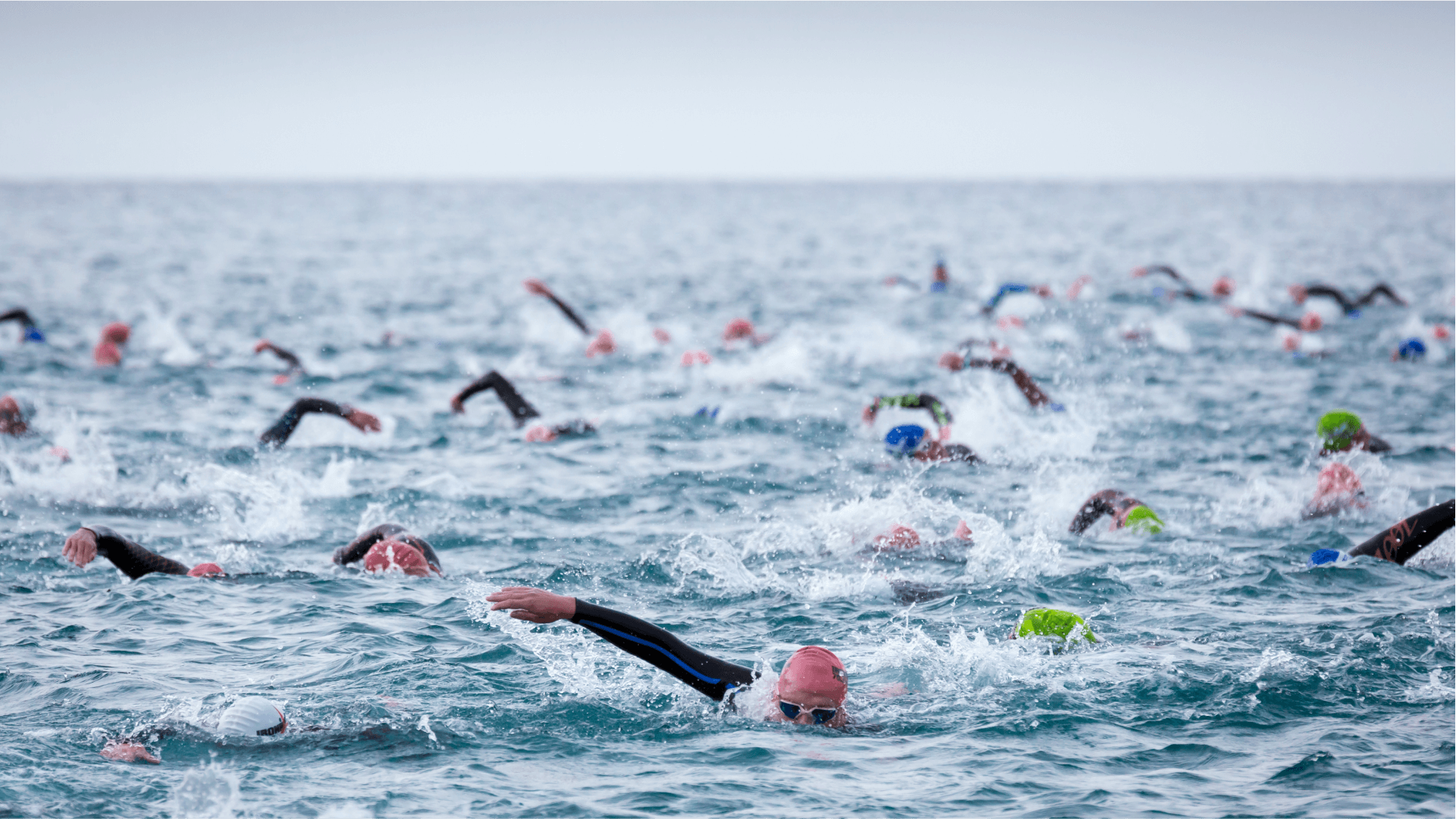 Snapping Tortuga Open Water Swim - April